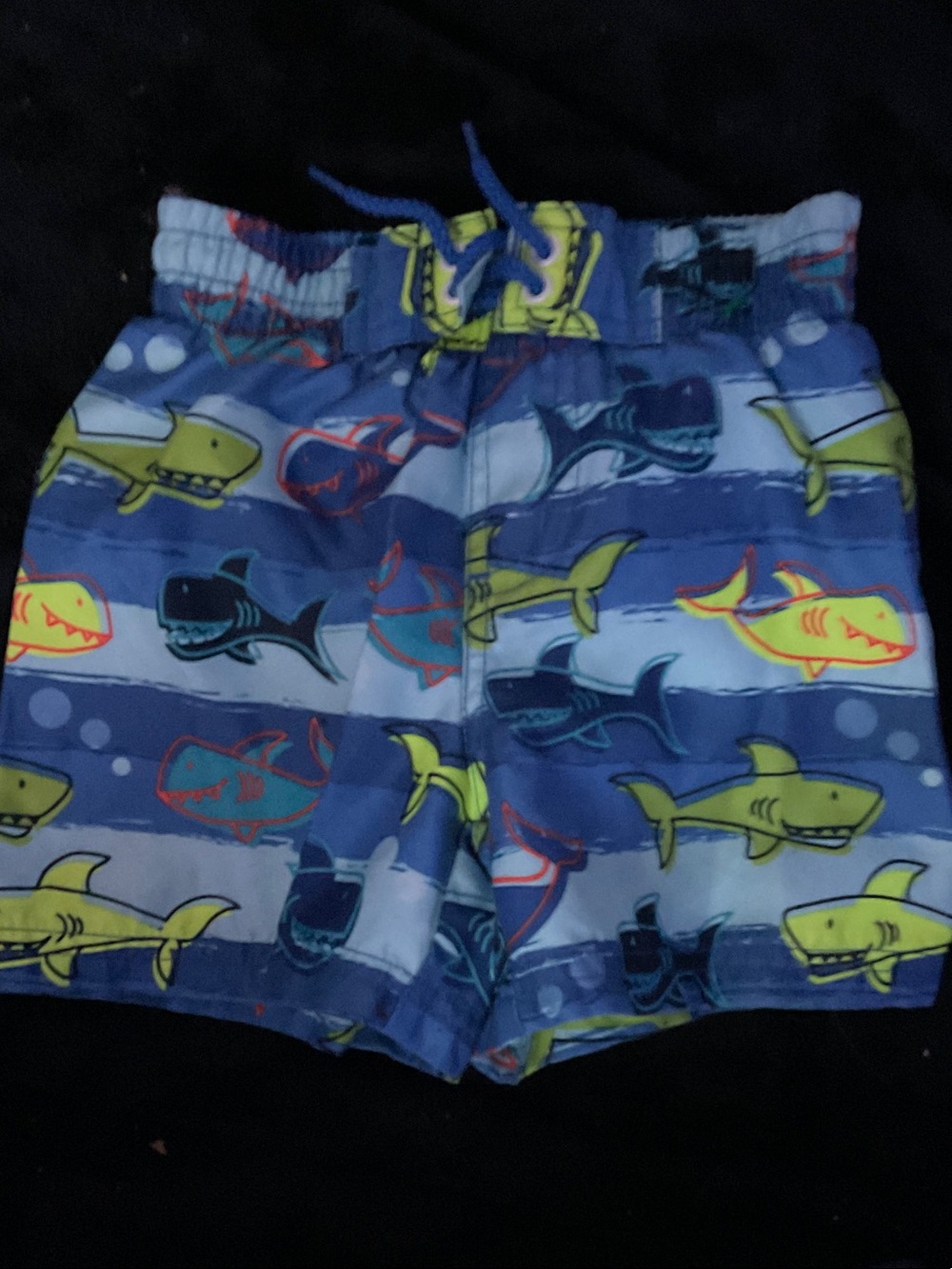 Koala Kids Blue Shark Print Swim Trunks